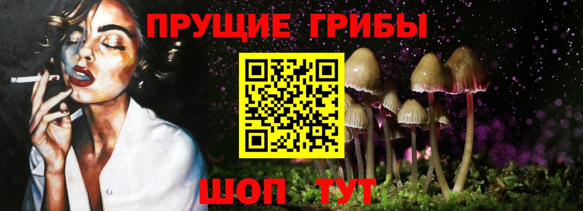Галлюциногенные грибы MAGIC MUSHROOMS Искитим
