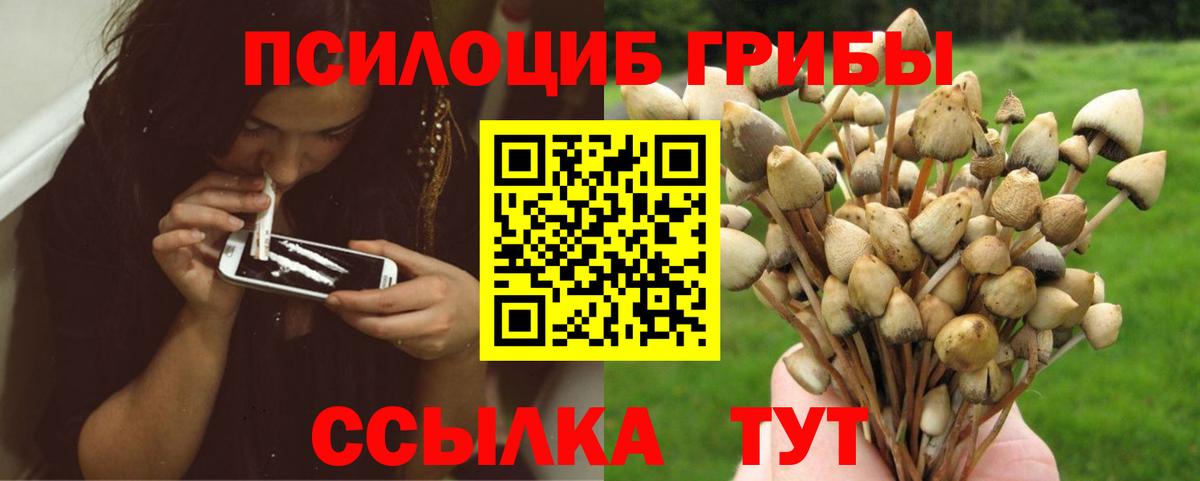 Галлюциногенные грибы ЛСД  Вход с VPN  Искитим 